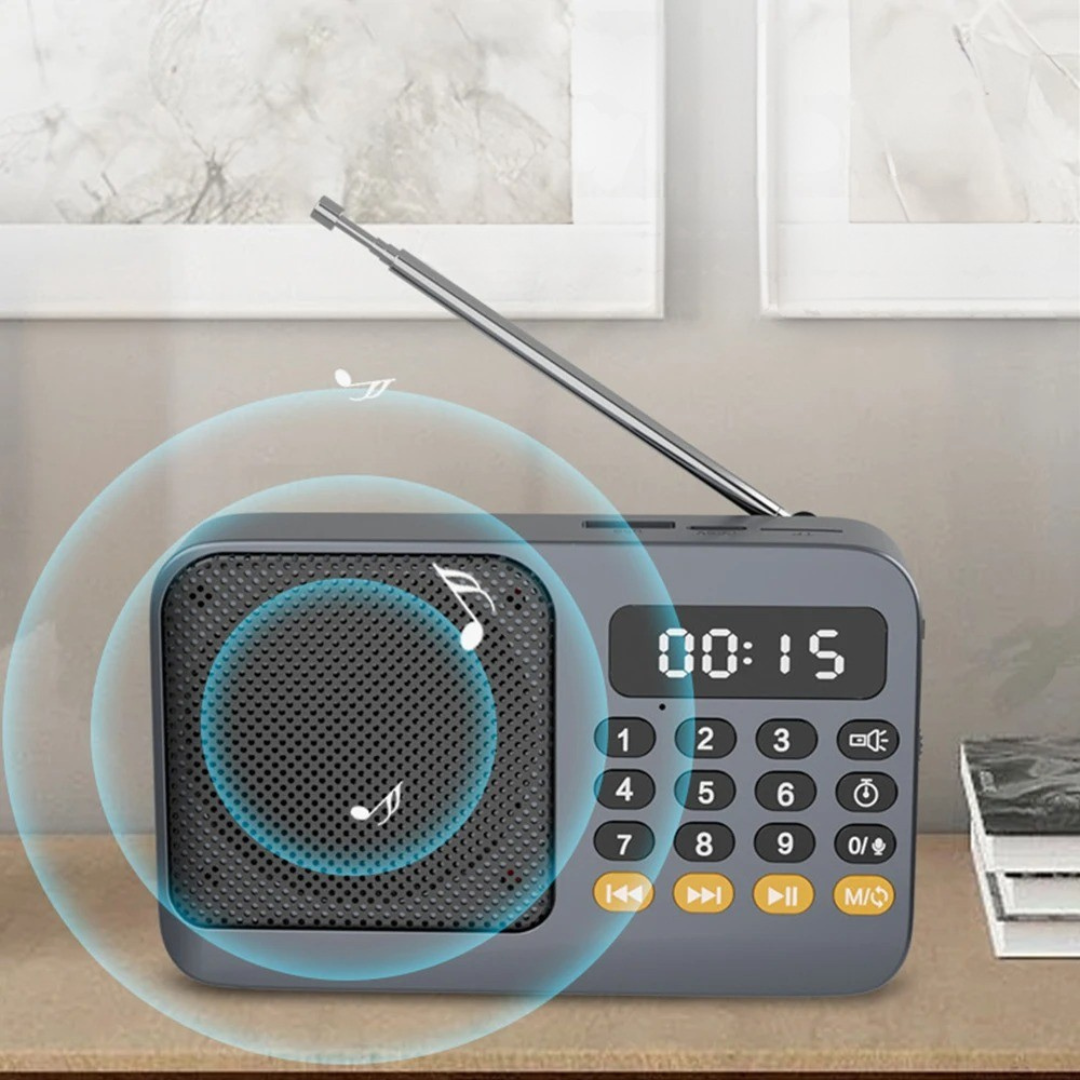 AureoWave Tragbarer wiederaufladbarer Radio-Bluetooth-Lautsprecher