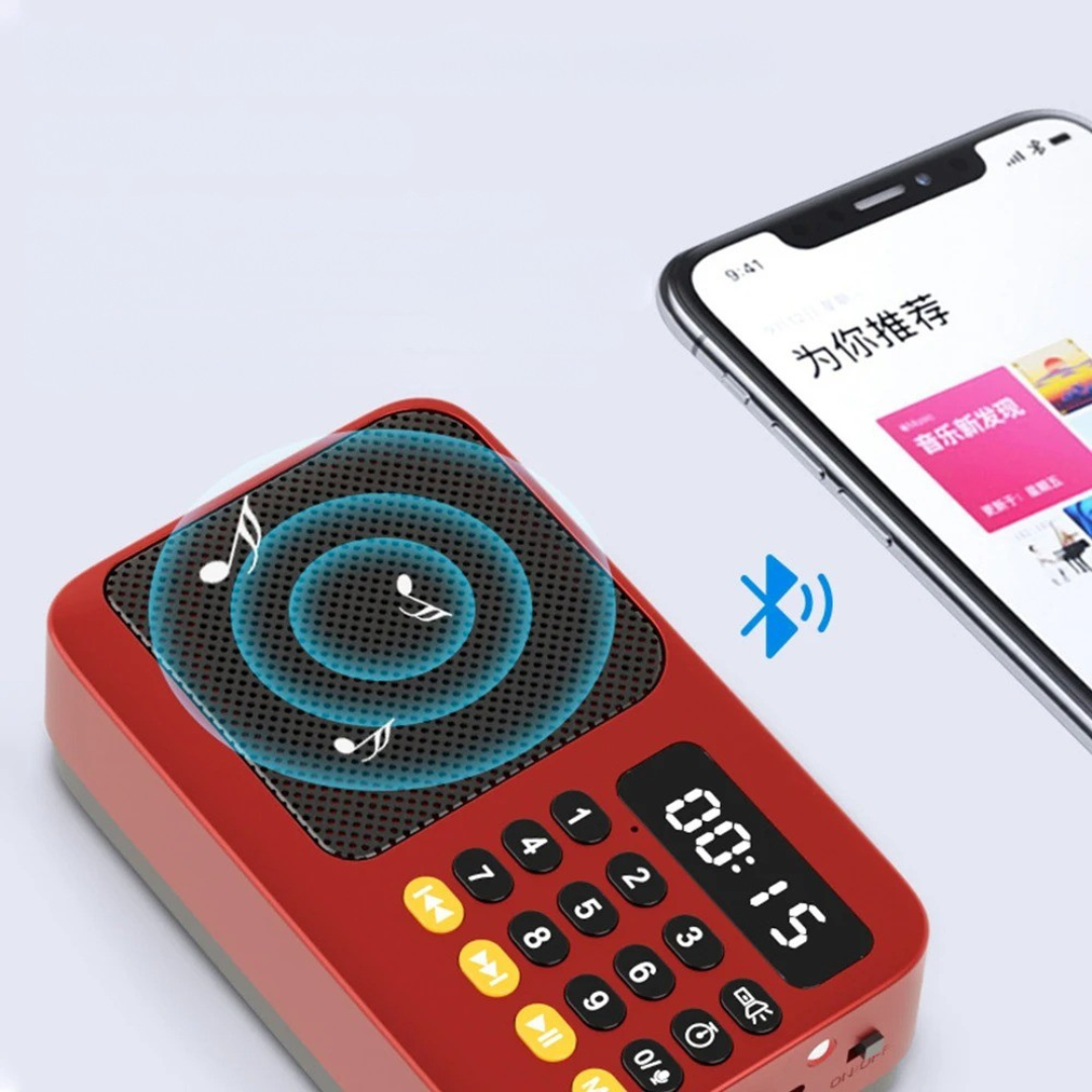 AureoWave Tragbarer wiederaufladbarer Radio-Bluetooth-Lautsprecher