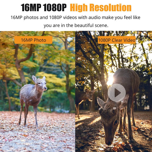 1080P Wildkamera mit Nachtsicht