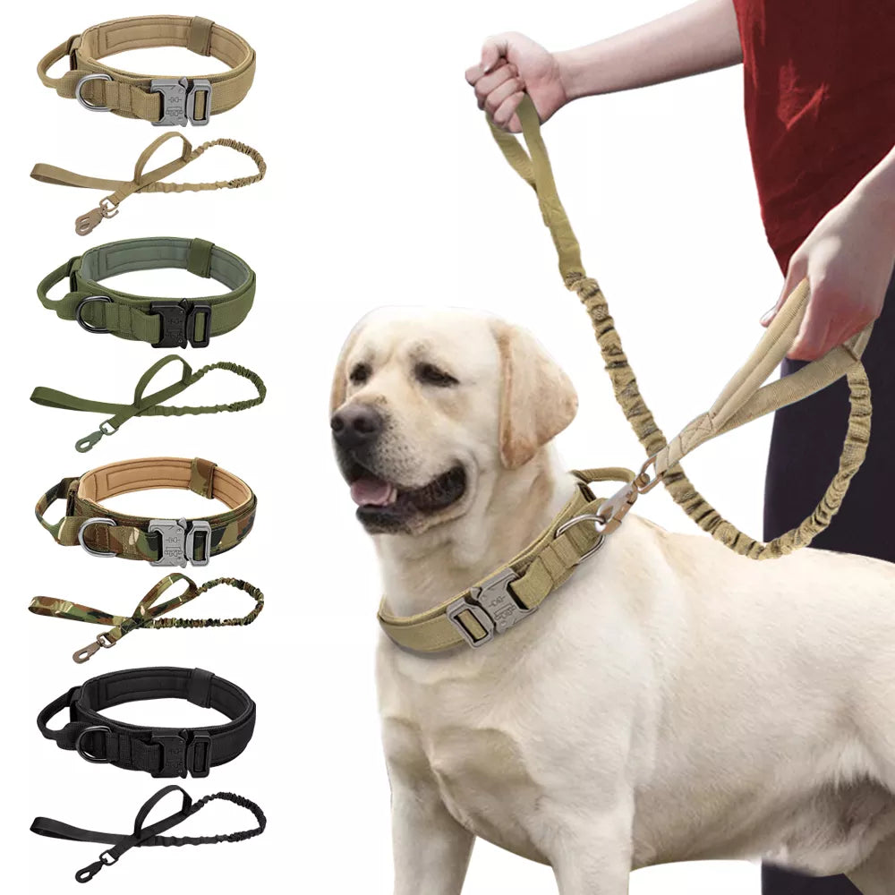 Tactical Hundehalsband & Leinen-Set