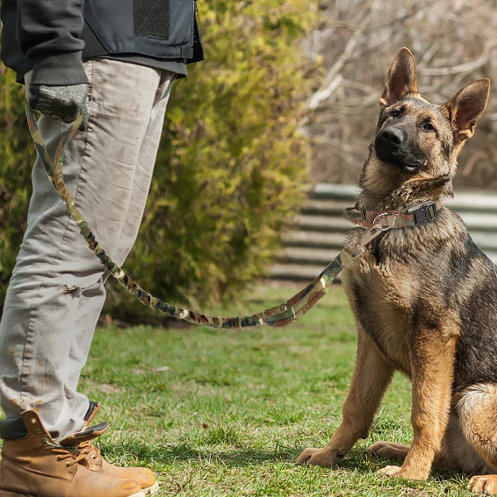 Tactical Hundehalsband & Leinen-Set