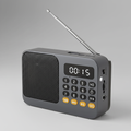 Audionix Tragbarer Akku-Radioempfänger mit Bluetooth-Lautsprecher