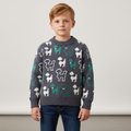 Brookline Alltags-Pullover