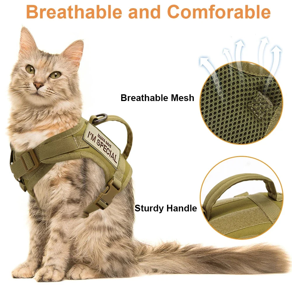 Katzen-Geschirrweste – Tactical, bequem & sicher