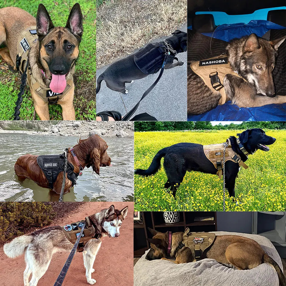 Robustes Tactical No-Pull Hundegeschirr-Set