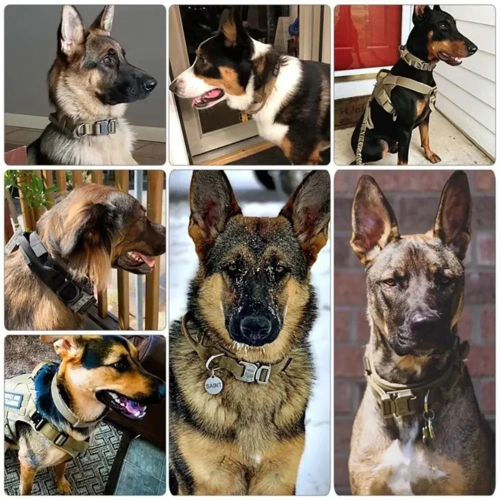 Tactical verstellbares Hundehalsband mit Griff
