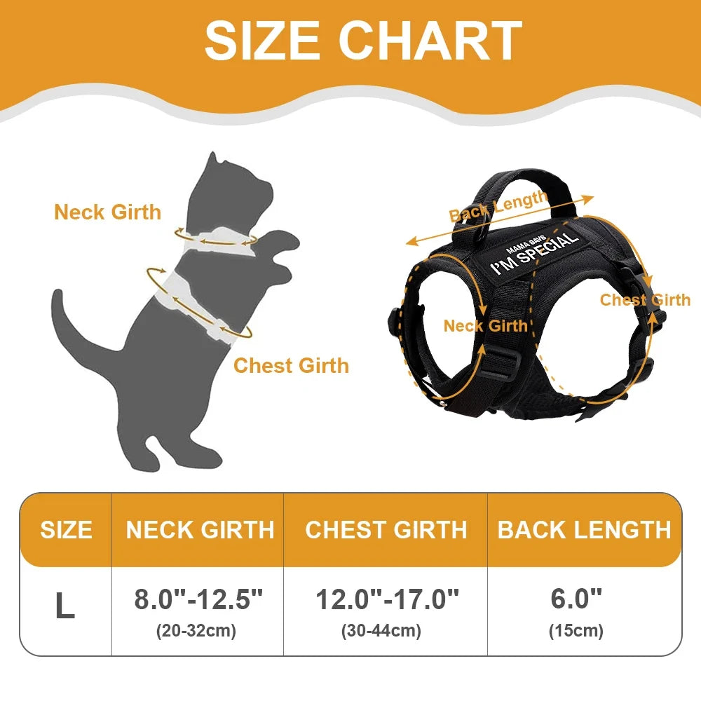 Katzen-Geschirrweste – Tactical, bequem & sicher