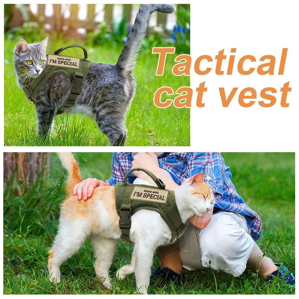 Katzen-Geschirrweste – Tactical, bequem & sicher