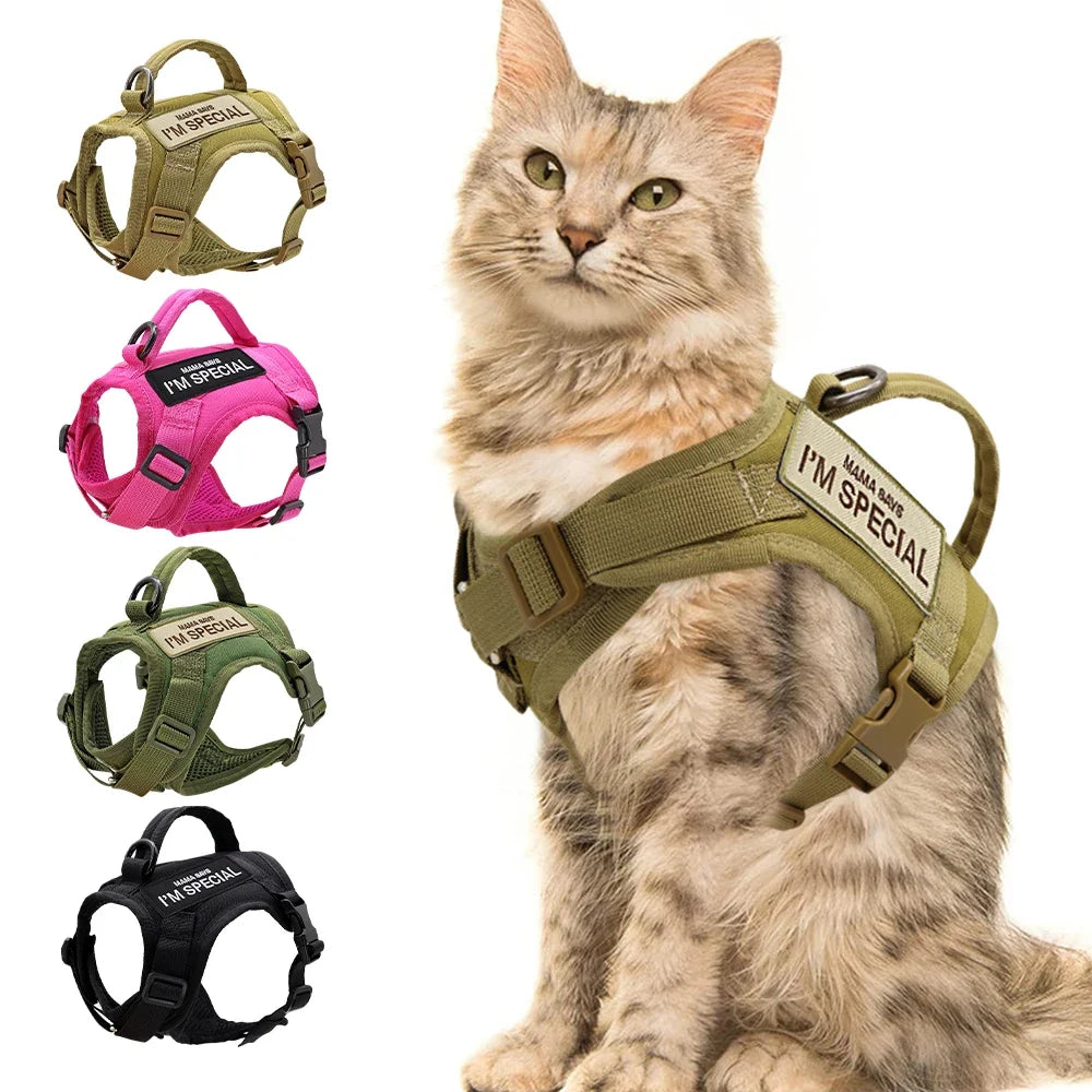 Katzen-Geschirrweste – Tactical, bequem & sicher
