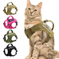 Katzen-Geschirrweste – Tactical, bequem & sicher