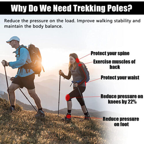 2x Trekkingstöcke – verstellbare Nordic-Walking-Stöcke, stoßdämpfend